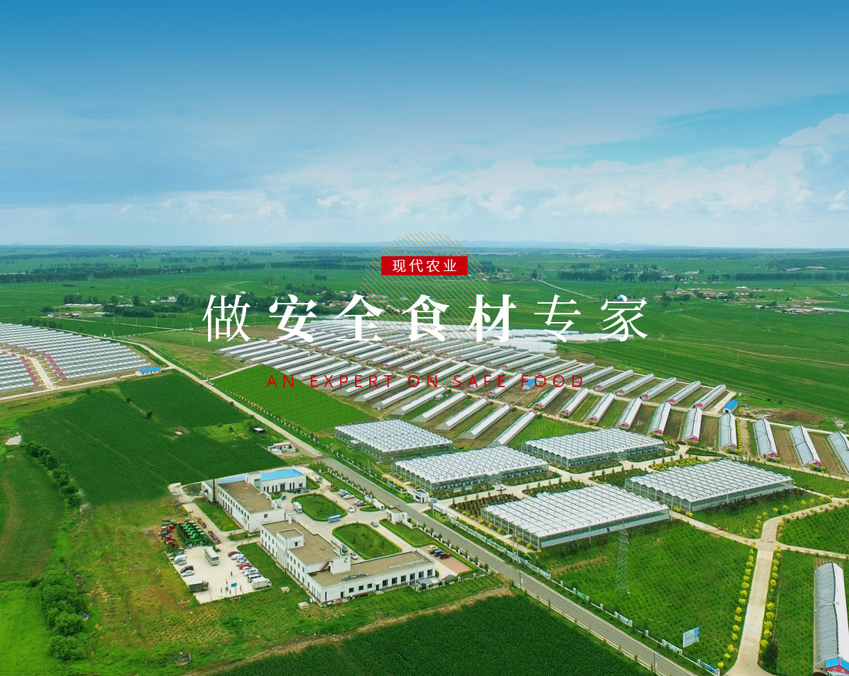 banner5_p9615812 云顶集团3118(中国)官方网站